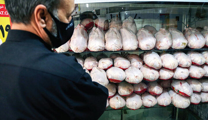120 هزار تن مرغ وارداتی با دلار جهانگیری از مالیات هم معاف شد